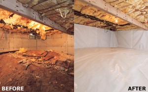 Crawl Space Before and After!