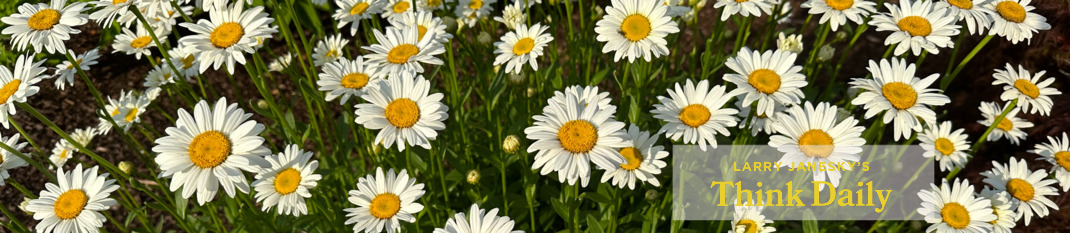 Larry Janesky: Think Daily