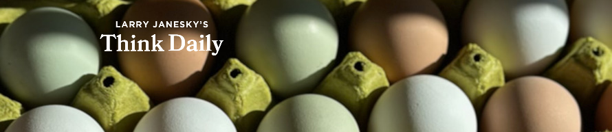 Larry Janesky: Think Daily